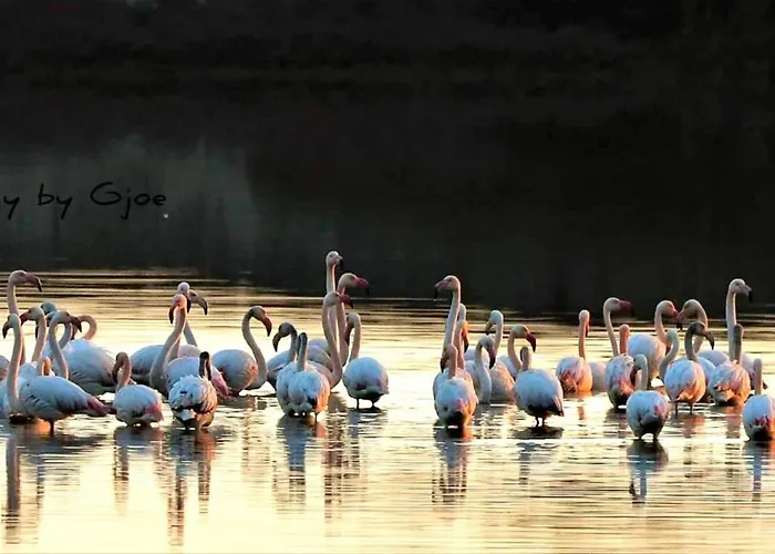 Salentin Ferienhaus San Pietro in Bevagna