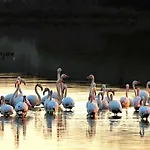 Salentin Semesterbostad San Pietro in Bevagna