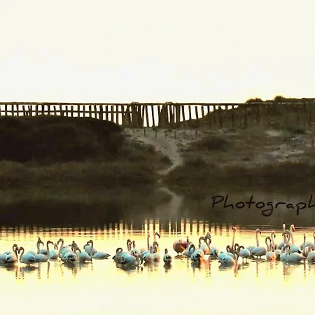 Salentin 펜션 산 피에트로 인 베바냐